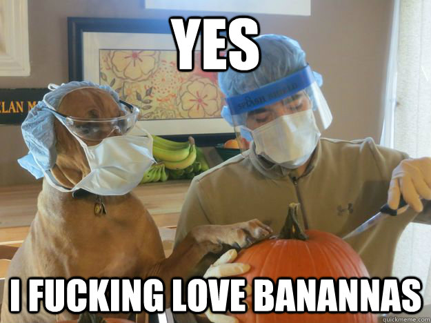 YES I FUCKING LOVE BANANNAS - YES I FUCKING LOVE BANANNAS  Misc