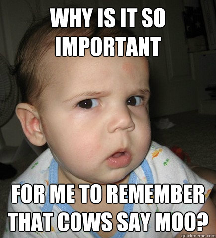 why is it so important for me to remember that cows say moo?  - why is it so important for me to remember that cows say moo?   Misc