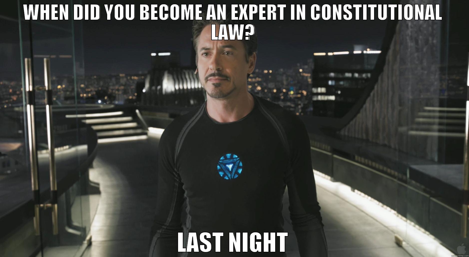 WHEN DID YOU BECOME AN EXPERT IN CONSTITUTIONAL LAW? LAST NIGHT Misc