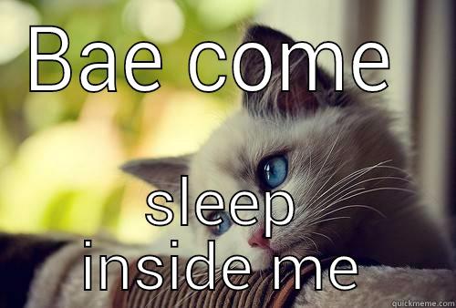 Want to sleep inside - BAE COME  SLEEP INSIDE ME First World Problems Cat