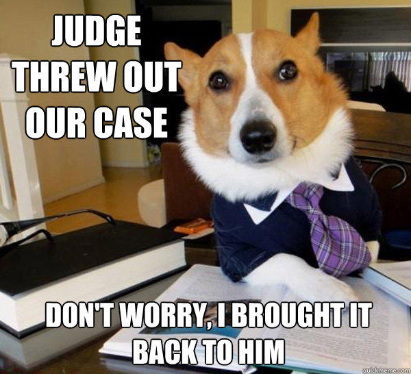 Judge threw out our case don't worry, I brought it back to him  Lawyer Dog