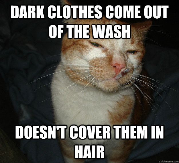 dark clothes come out of the wash doesn't cover them in hair  Cool Cat Craig
