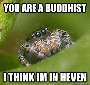 you are a Buddhist i think im in heven  Misunderstood Spider