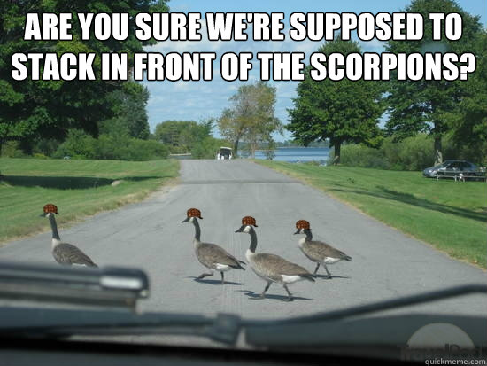 Are you sure we're supposed to stack in front of the scorpions?   Scumbag Geese