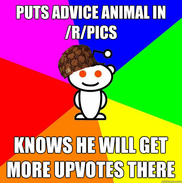 puts advice animal in /r/pics knows he will get more upvotes there  Scumbag Redditor