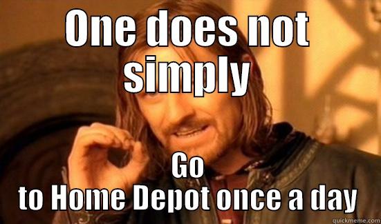 ONE DOES NOT SIMPLY GO TO HOME DEPOT ONCE A DAY Boromir