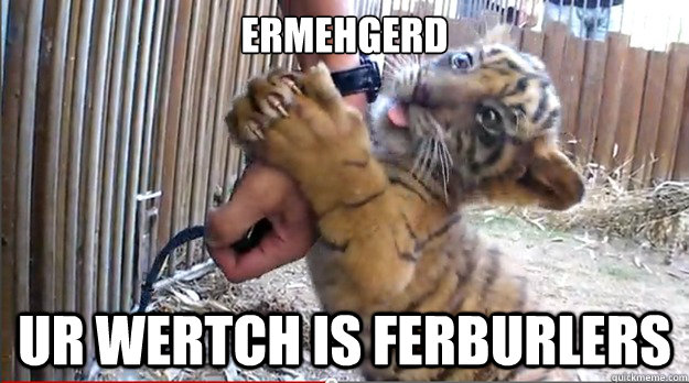ERMEHGERD UR WERTCH IS FERBURLERS  Derpy Tiger