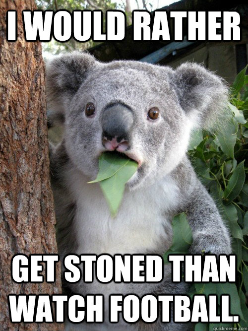 I would rather get stoned than watch football.    koala bear