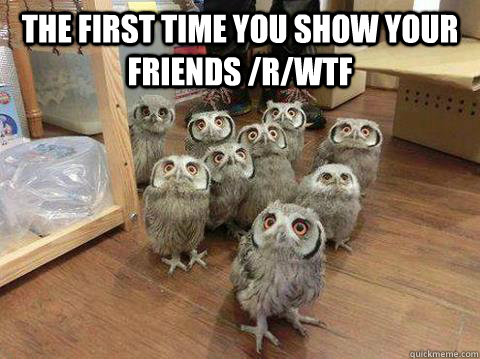 the first time you show your friends /r/wtf  - the first time you show your friends /r/wtf   Misc