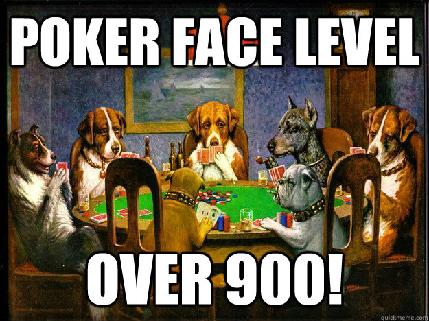 Poker face level over 900! - Poker face level over 900!  Dogs playing poker