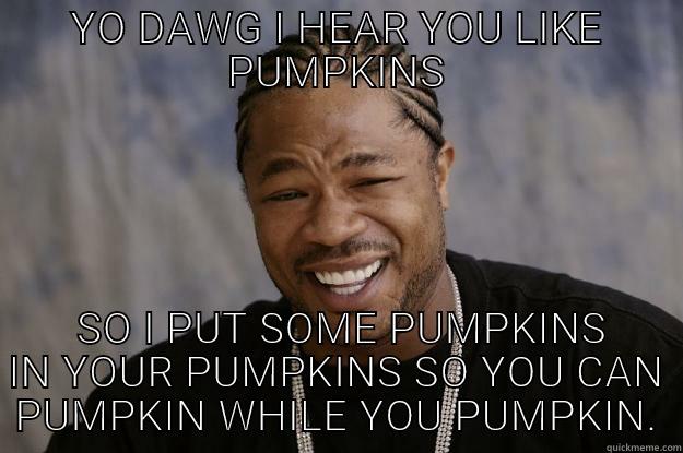 YO DAWG I HEAR YOU LIKE PUMPKINS  SO I PUT SOME PUMPKINS IN YOUR PUMPKINS SO YOU CAN PUMPKIN WHILE YOU PUMPKIN. Xzibit meme