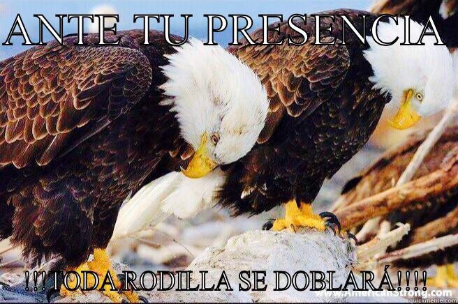  Las águilas - ANTE TU PRESENCIA  !!!TODA RODILLA SE DOBLARÁ!!!! Misc