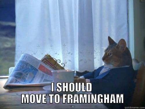 i love framingham <3 -  I SHOULD  MOVE TO FRAMINGHAM The One Percent Cat