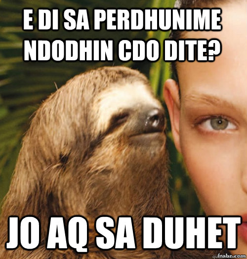 e di sa perdhunime ndodhin cdo dite? Jo aq sa duhet - e di sa perdhunime ndodhin cdo dite? Jo aq sa duhet  rape sloth