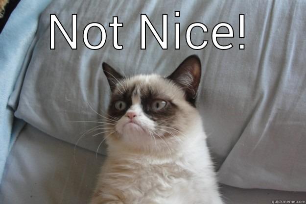 NOT NICE!  Grumpy Cat