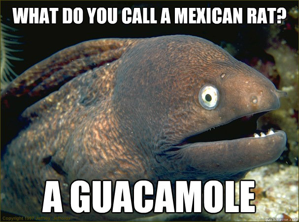 What do you call a Mexican rat? a Guacamole  Bad Joke Eel