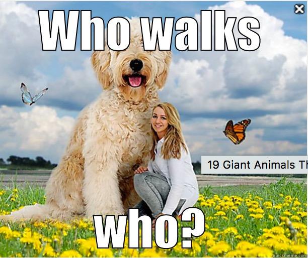 WHO WALKS WHO? Misc