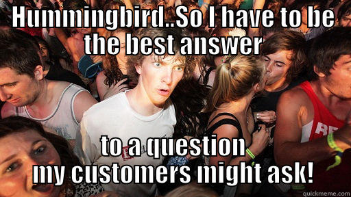 HUMMINGBIRD..SO I HAVE TO BE THE BEST ANSWER TO A QUESTION MY CUSTOMERS MIGHT ASK! Sudden Clarity Clarence
