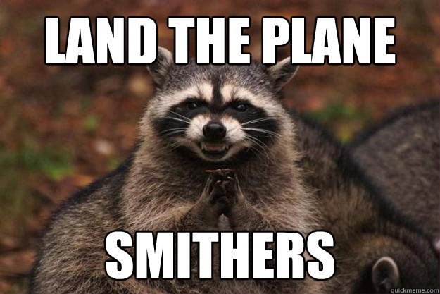 Land the Plane Smithers  Evil Plotting Raccoon