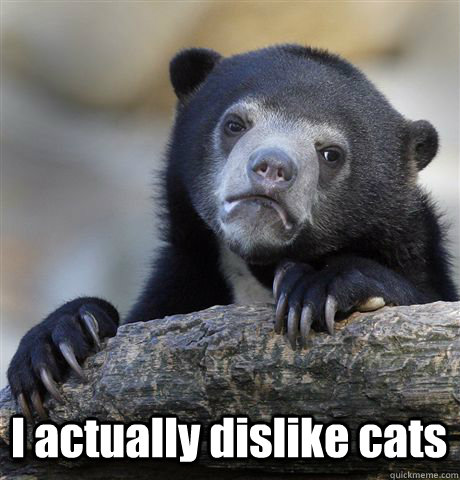  I actually dislike cats  Confession Bear
