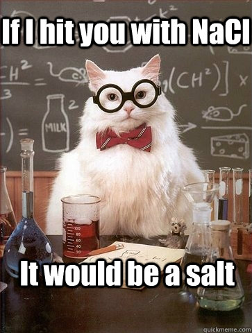 If I hit you with NaCl It would be a salt  Chemistry Cat