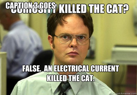 curiosity killed the cat?  False.  An electrical current killed the cat. Caption 3 goes here  Schrute