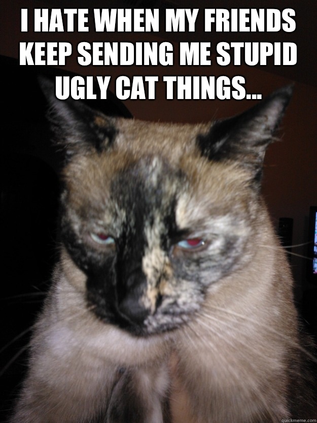 I hate when my friends keep sending me stupid ugly cat things...   