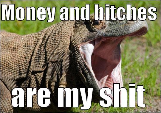 MONEY AND BITCHES  ARE MY SHIT Misc