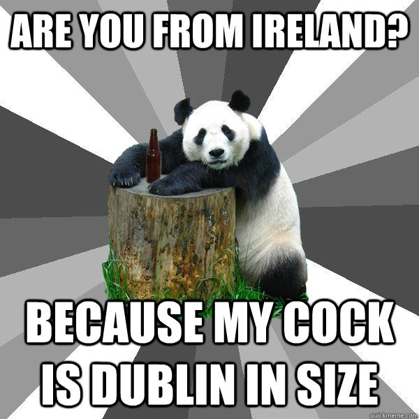 Are you from Ireland? Because my cock is dublin in size  Pickup-Line Panda