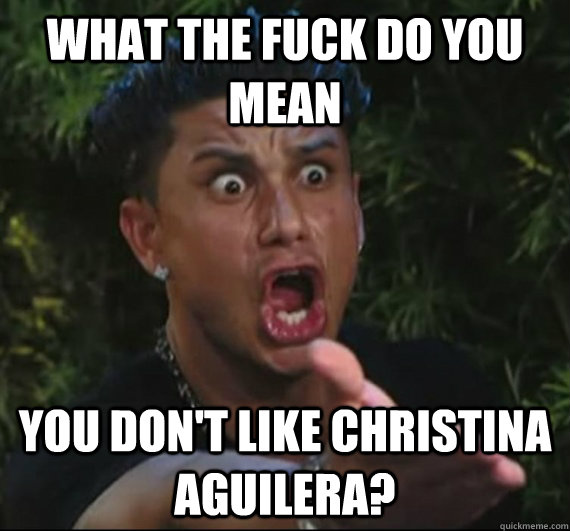 What the fuck do you mean you don't like Christina Aguilera? - What the fuck do you mean you don't like Christina Aguilera?  Christina meme
