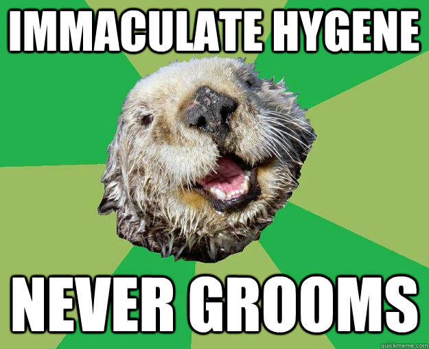 Immaculate hygene never grooms  OCD Otter