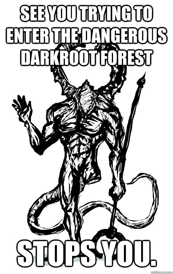 See you trying to enter the dangerous Darkroot forest Stops you.  