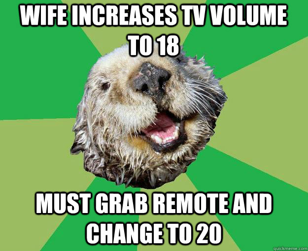 wife increases tv volume to 18 must grab remote and change to 20  OCD Otter