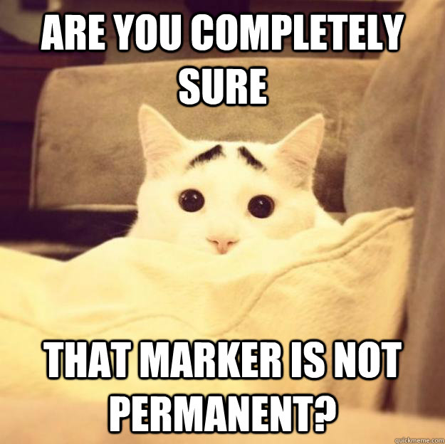 are you completely sure  that marker is not permanent? - are you completely sure  that marker is not permanent?  Misc