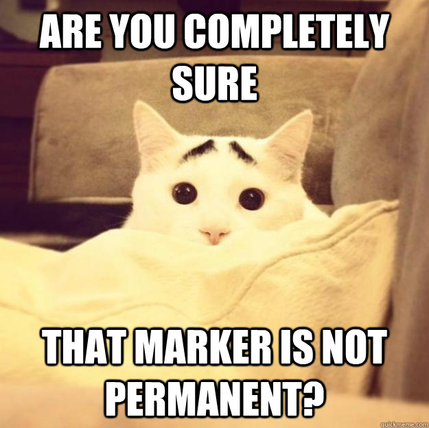 are you completely sure that marker is not permanent? Misc quickmeme
