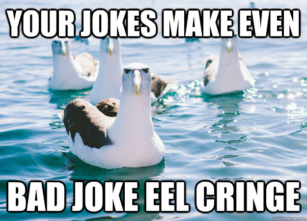 Your jokes make even bad joke eel cringe - Your jokes make even bad joke eel cringe  Unamused Albatrosses
