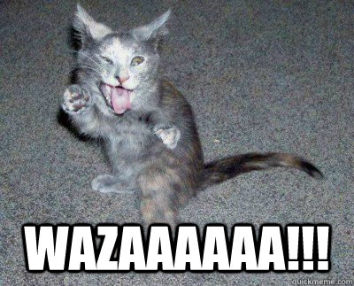 WAZAAAAAA!!! -  WAZAAAAAA!!!  WAZA CAT 2