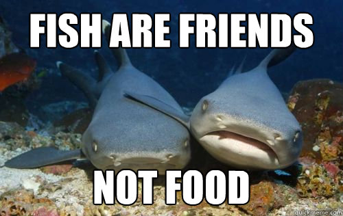 Fish are friends not food  Compassionate Shark Friend