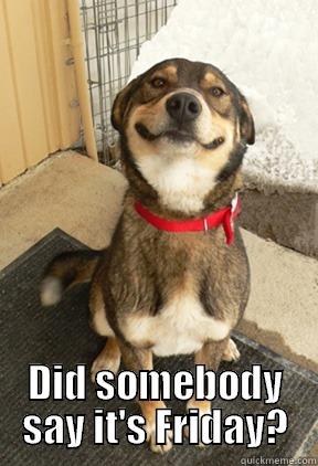  DID SOMEBODY SAY IT'S FRIDAY? Good Dog Greg