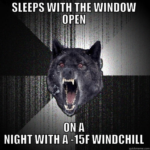 SLEEPS WITH THE WINDOW OPEN ON A NIGHT WITH A -15F WINDCHILL Insanity Wolf