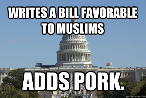 Writes a bill favorable to Muslims Adds pork.  Scumbag Congress