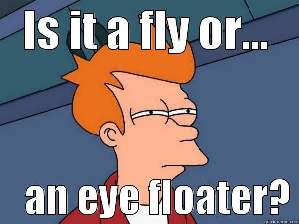 Can't tell - IS IT A FLY OR...     AN EYE FLOATER? Futurama Fry