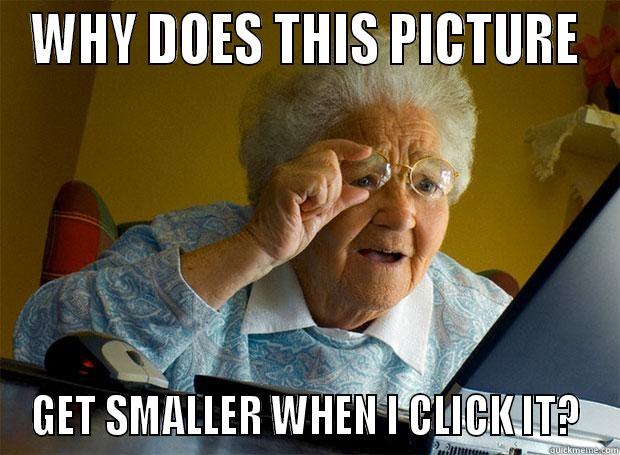 WHY DOES THIS PICTURE GET SMALLER WHEN I CLICK IT? Grandma finds the Internet