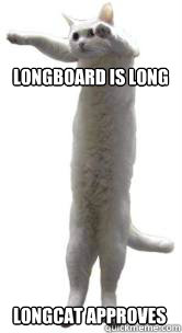 Longboard is long Longcat approves - Longboard is long Longcat approves  Long cat