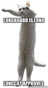 Longboard is long Longcat approves  Long cat