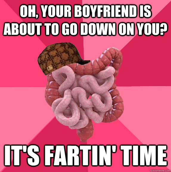 Oh, your boyfriend is about to go down on you? It's fartin' time - Oh, your boyfriend is about to go down on you? It's fartin' time  Scumbag Intestines