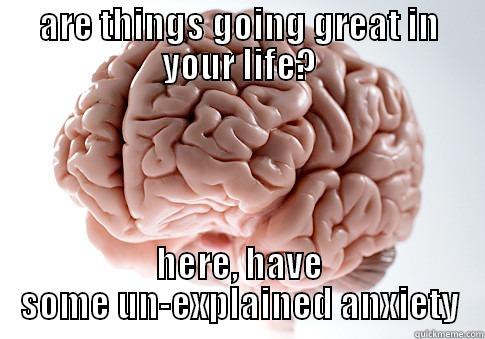 ARE THINGS GOING GREAT IN YOUR LIFE? HERE, HAVE SOME UN-EXPLAINED ANXIETY Scumbag Brain