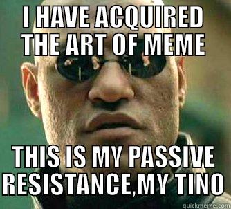 I HAVE ACQUIRED THE ART OF MEME THIS IS MY PASSIVE RESISTANCE,MY TINO Matrix Morpheus