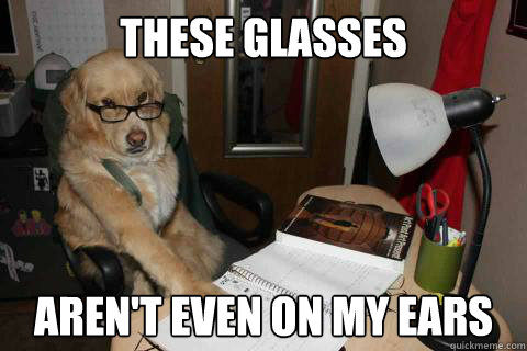 these glasses  Aren't even on my ears
  Financial Advice Dog