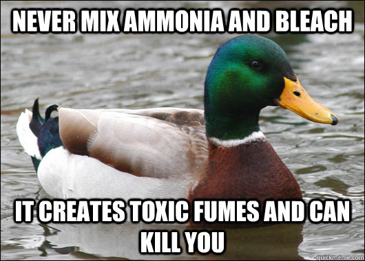 Never mix ammonia and bleach it creates toxic fumes and can kill you   Actual Advice Mallard